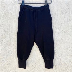 Frank & Eileen Tee Lab Super Crop Jogger Pants XS